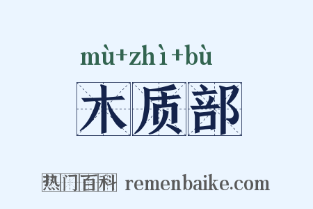 木质部是什么意思的图片